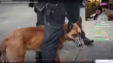 Polizeikontrolle und Drogenfu…