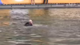 Erfolgreiche Flyboard-Versuch…