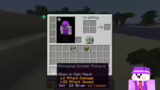 Erste Schritte im Terraria-Mi…