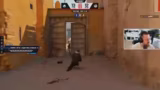 Counter-Strike