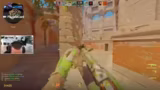 Counter-Strike